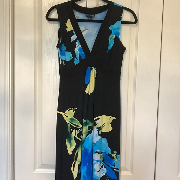 EUC En Focus Studio sleeveless floral maxi dress. Size 6. - Picture 3 of 6